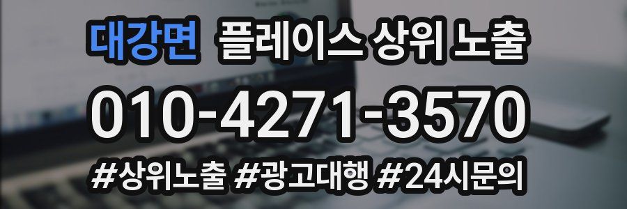 대강면 플레이스 상위 노출