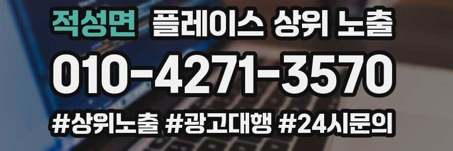 적성면 플레이스 상위 노출