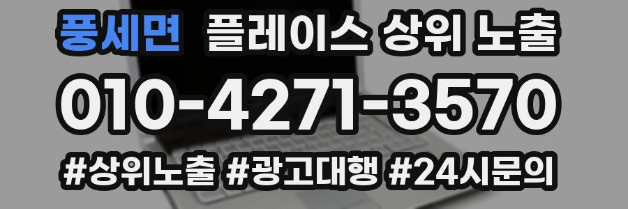 풍세면 플레이스 상위 노출