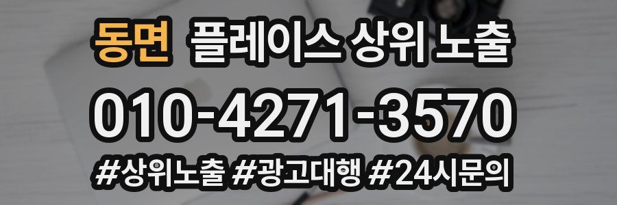 동면 플레이스 상위 노출