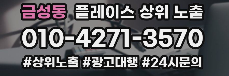 금성동 플레이스 상위 노출