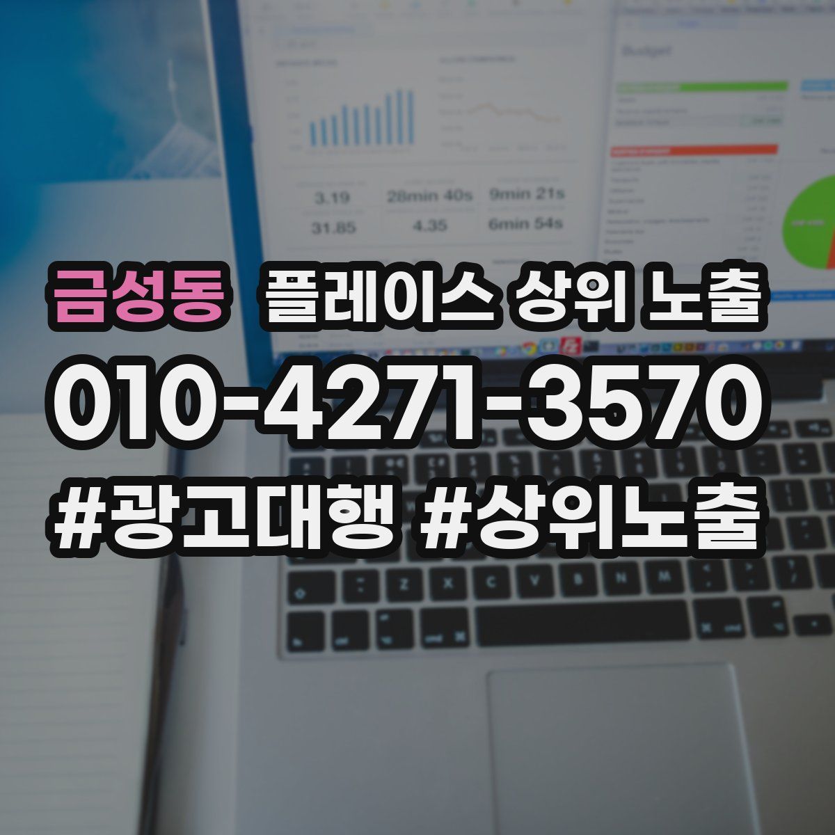 금성동 플레이스 상위 노출