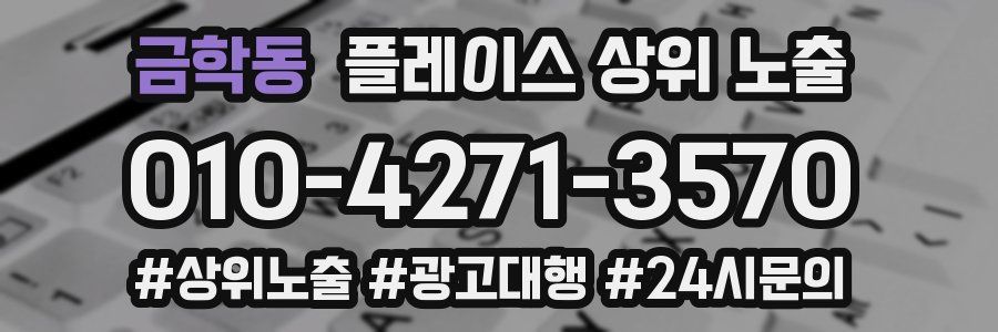 금학동 플레이스 상위 노출