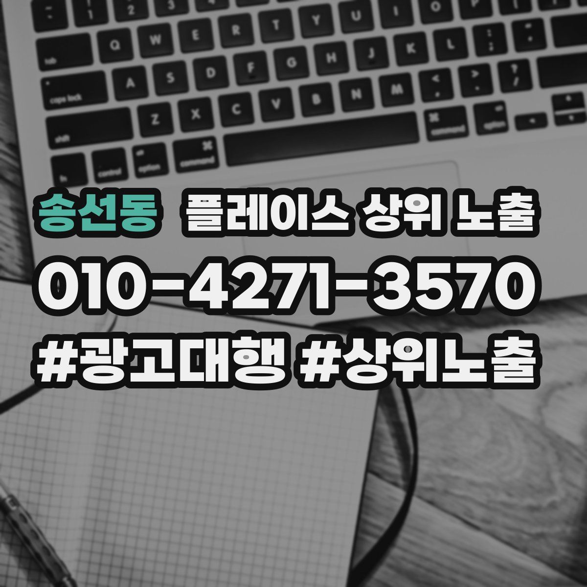 송선동 플레이스 상위 노출