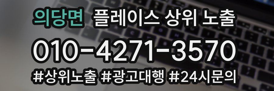 의당면 플레이스 상위 노출