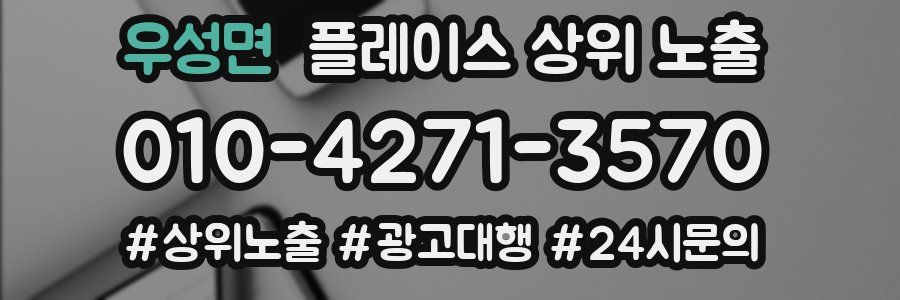 우성면 플레이스 상위 노출