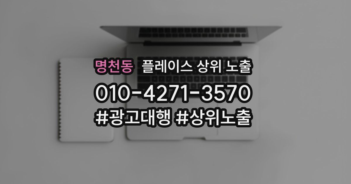 명천동 플레이스 상위 노출