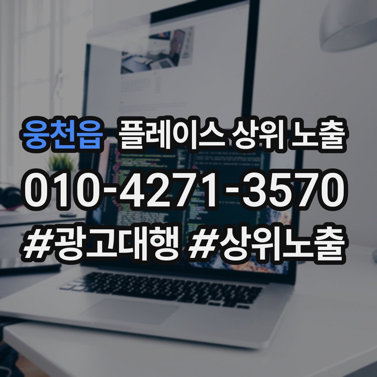 웅천읍 플레이스 상위 노출