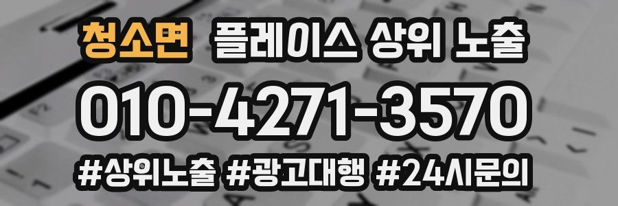 청소면 플레이스 상위 노출