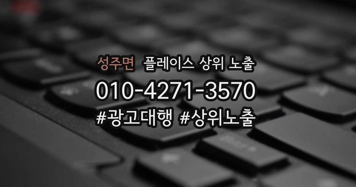 성주면 플레이스 상위 노출