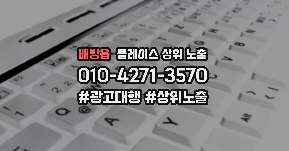 배방읍 플레이스 상위 노출
