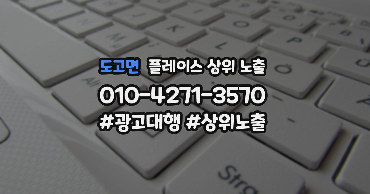 도고면 플레이스 상위 노출
