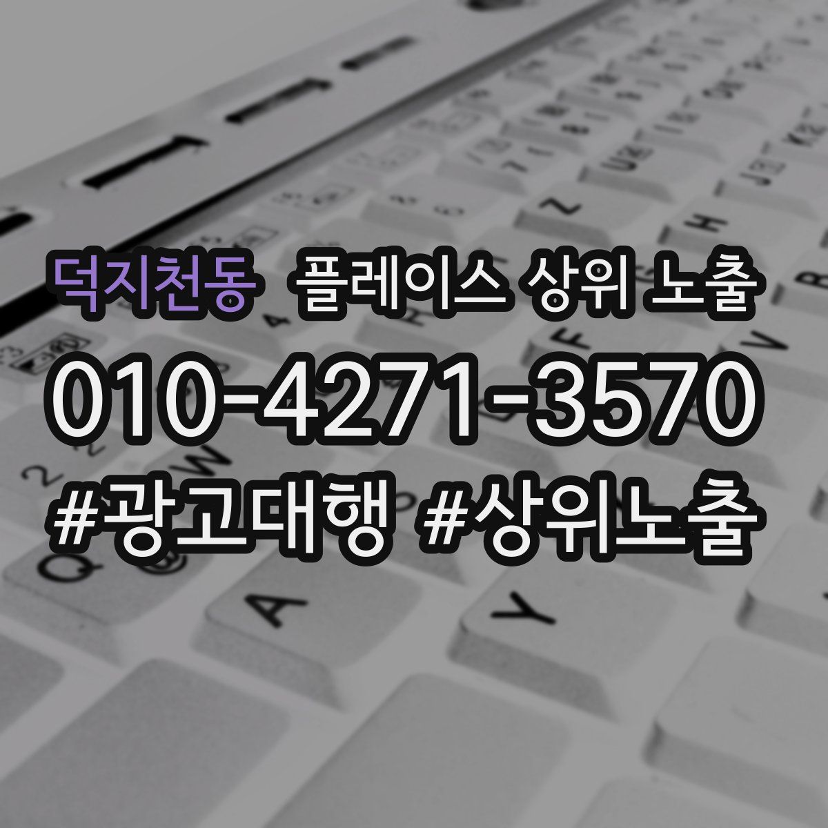 덕지천동 플레이스 상위 노출