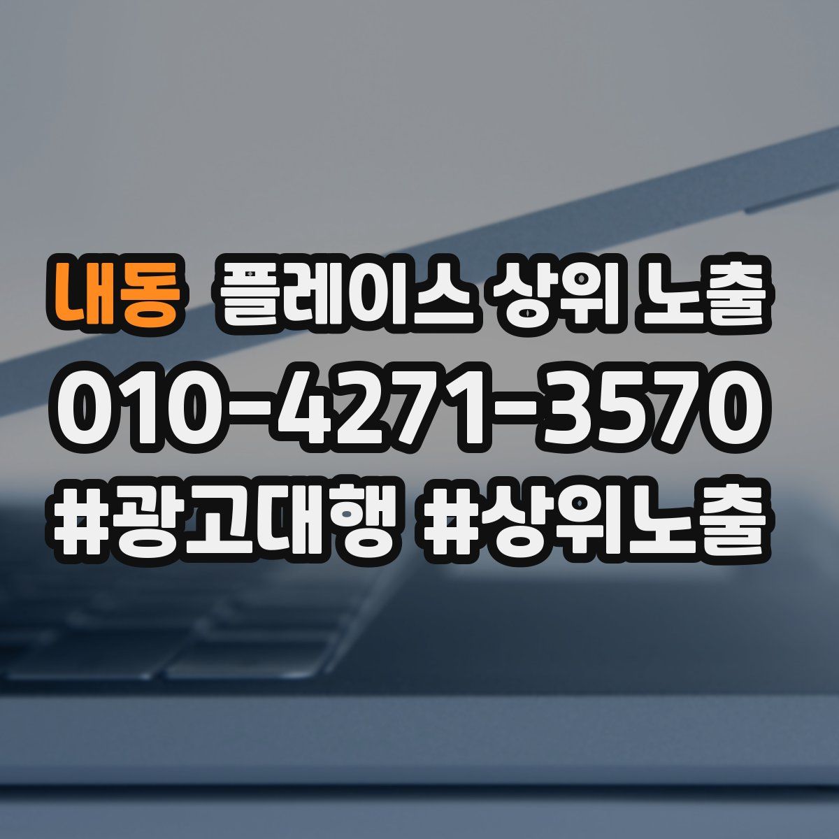 내동 플레이스 상위 노출