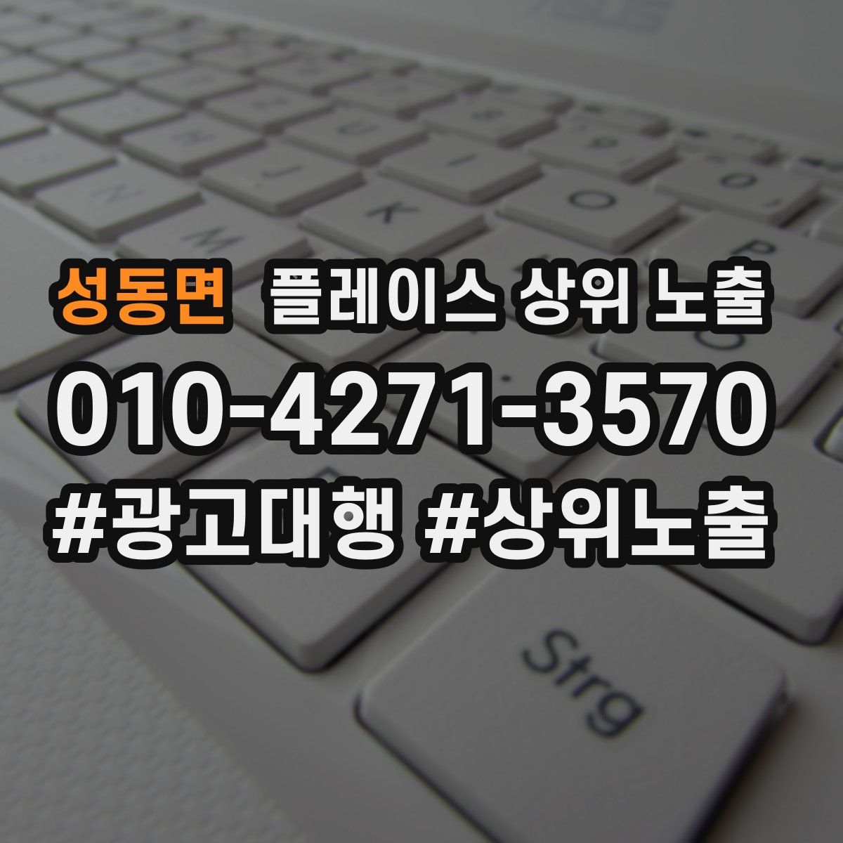 성동면 플레이스 상위 노출