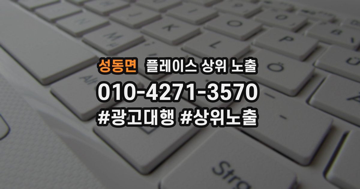 성동면 플레이스 상위 노출