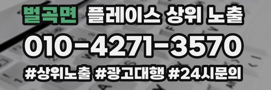 벌곡면 플레이스 상위 노출