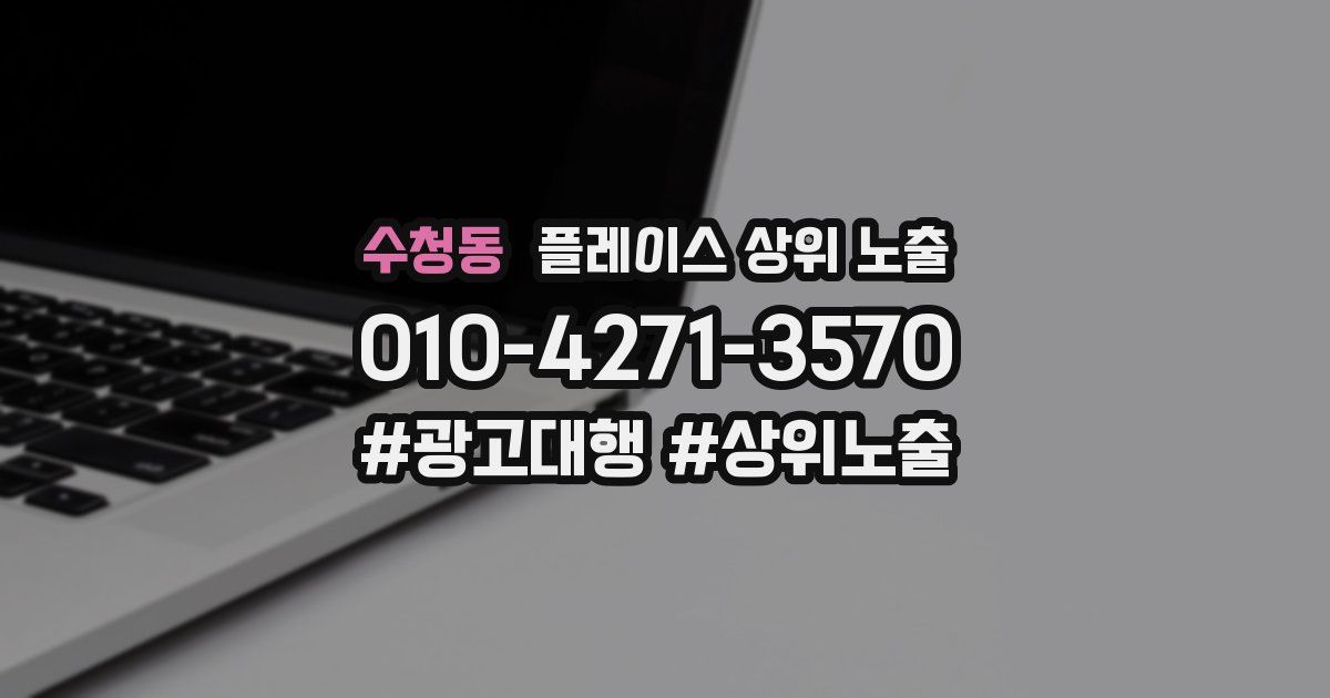 수청동 플레이스 상위 노출