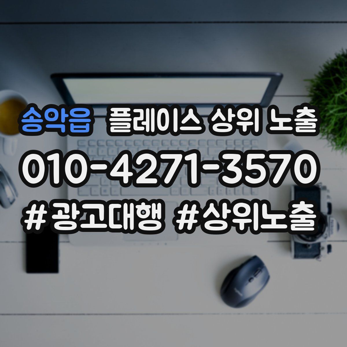 송악읍 플레이스 상위 노출