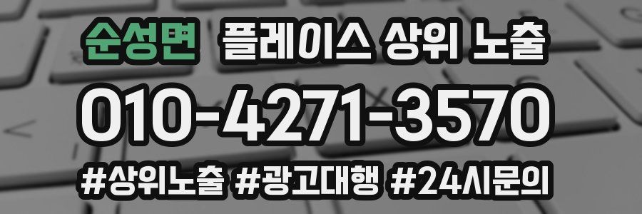 순성면 플레이스 상위 노출