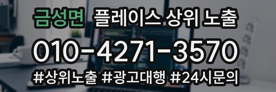 금성면 플레이스 상위 노출