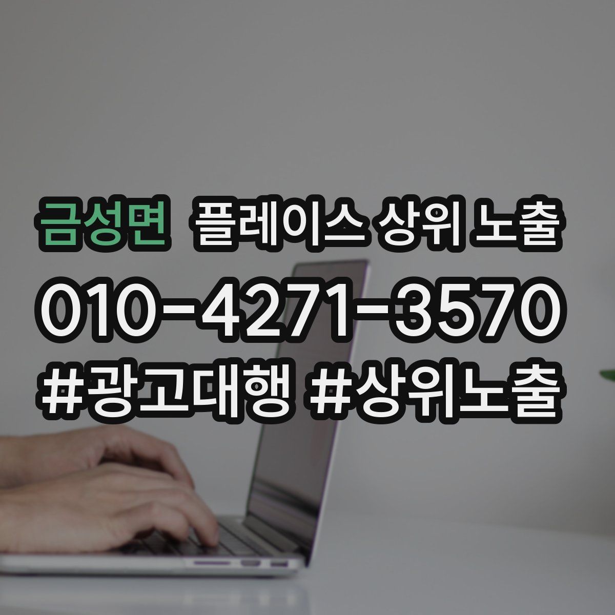 금성면 플레이스 상위 노출