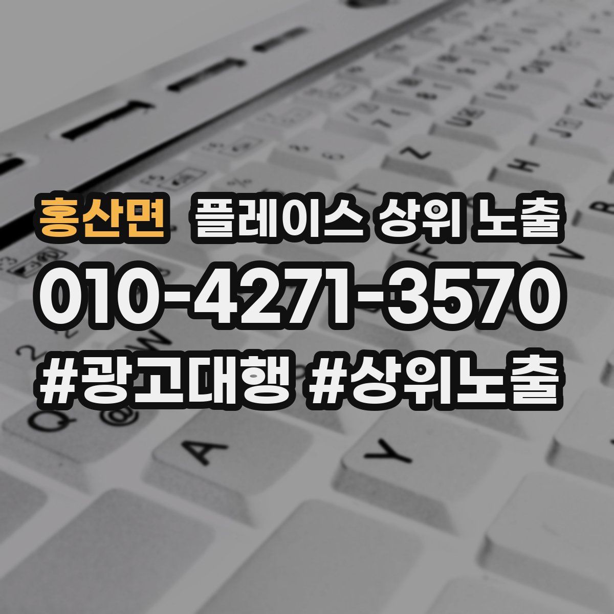 홍산면 플레이스 상위 노출