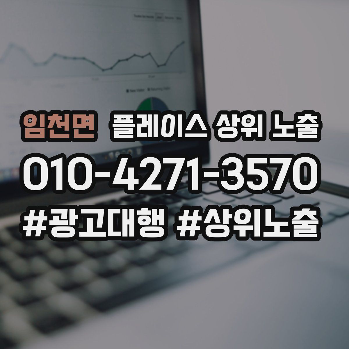 임천면 플레이스 상위 노출