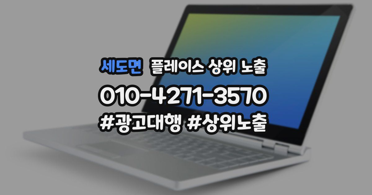 세도면 플레이스 상위 노출