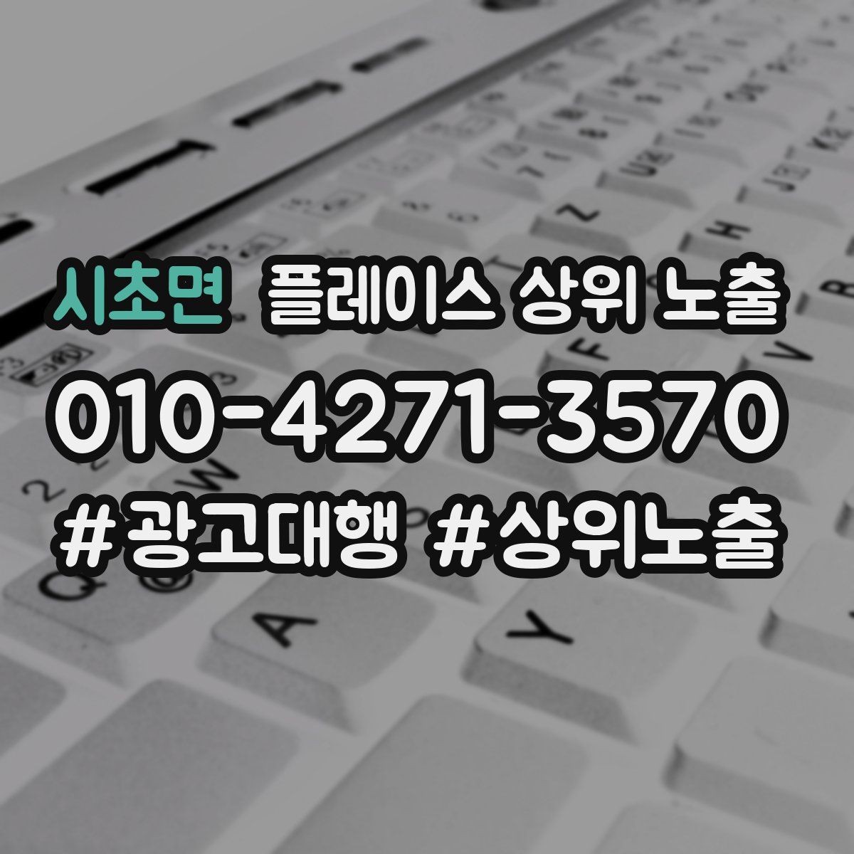 시초면 플레이스 상위 노출