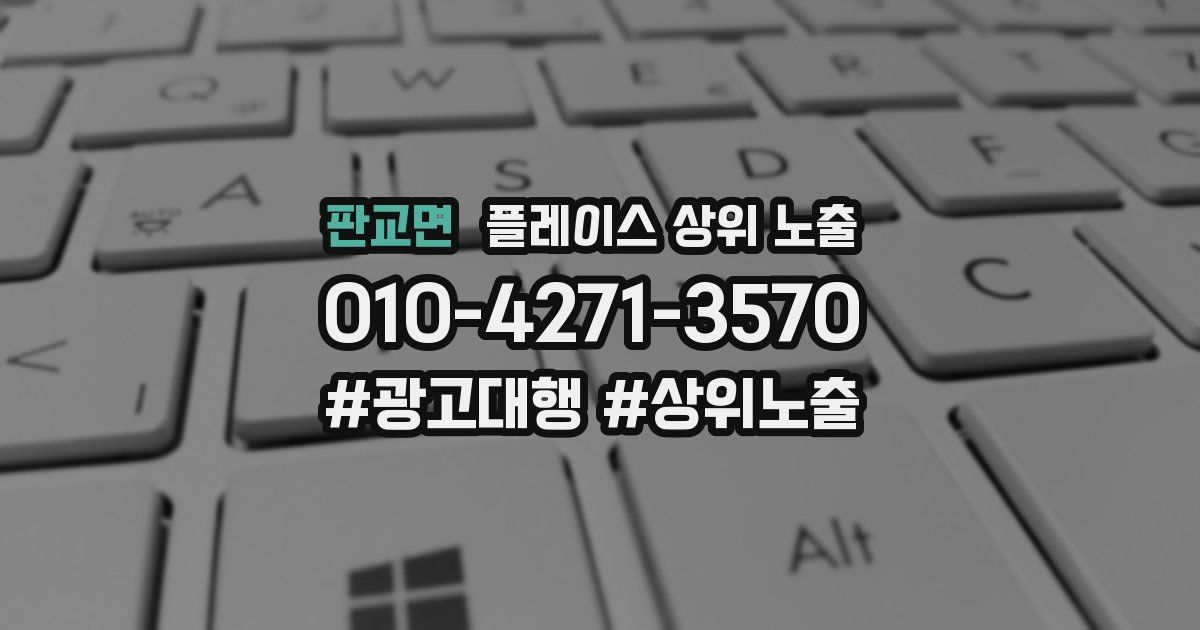 판교면 플레이스 상위 노출