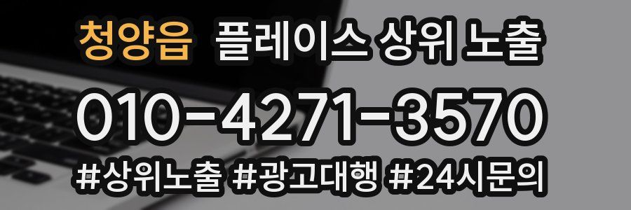 청양읍 플레이스 상위 노출