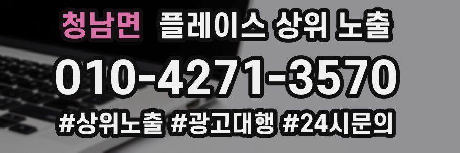 청남면 플레이스 상위 노출