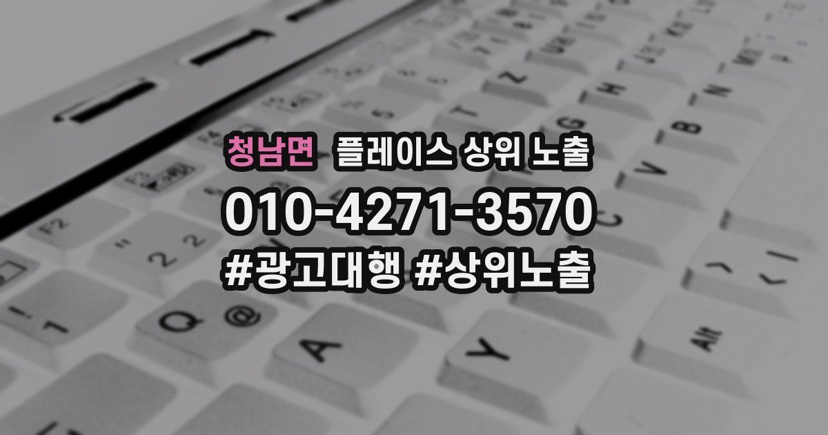 청남면 플레이스 상위 노출