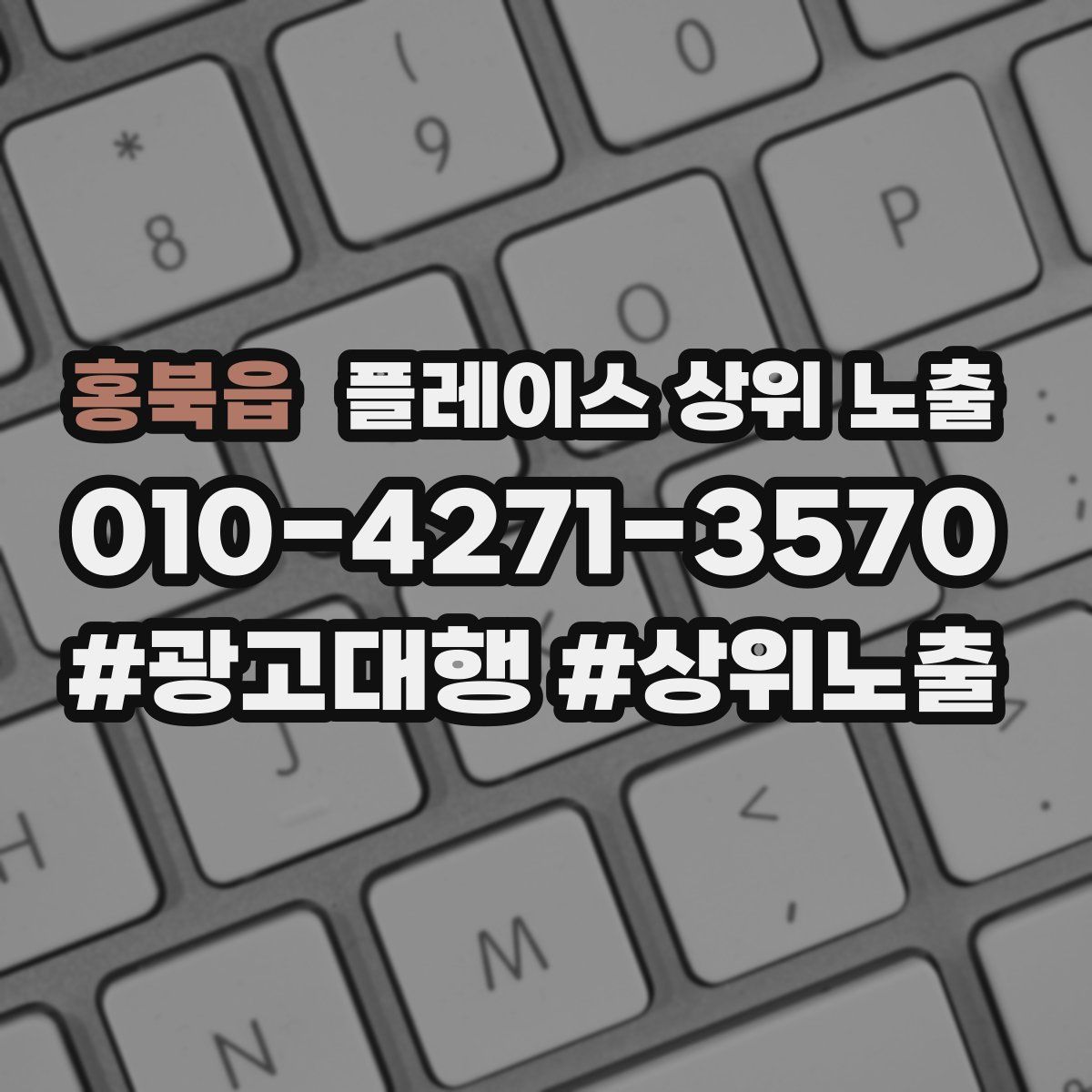 홍북읍 플레이스 상위 노출