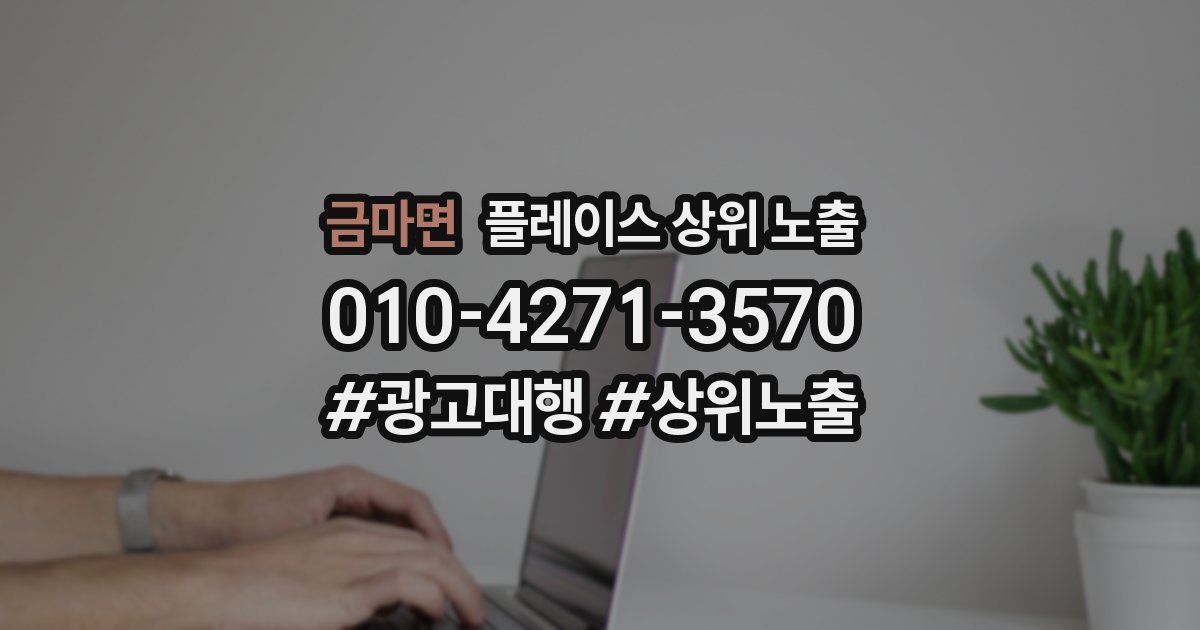 금마면 플레이스 상위 노출