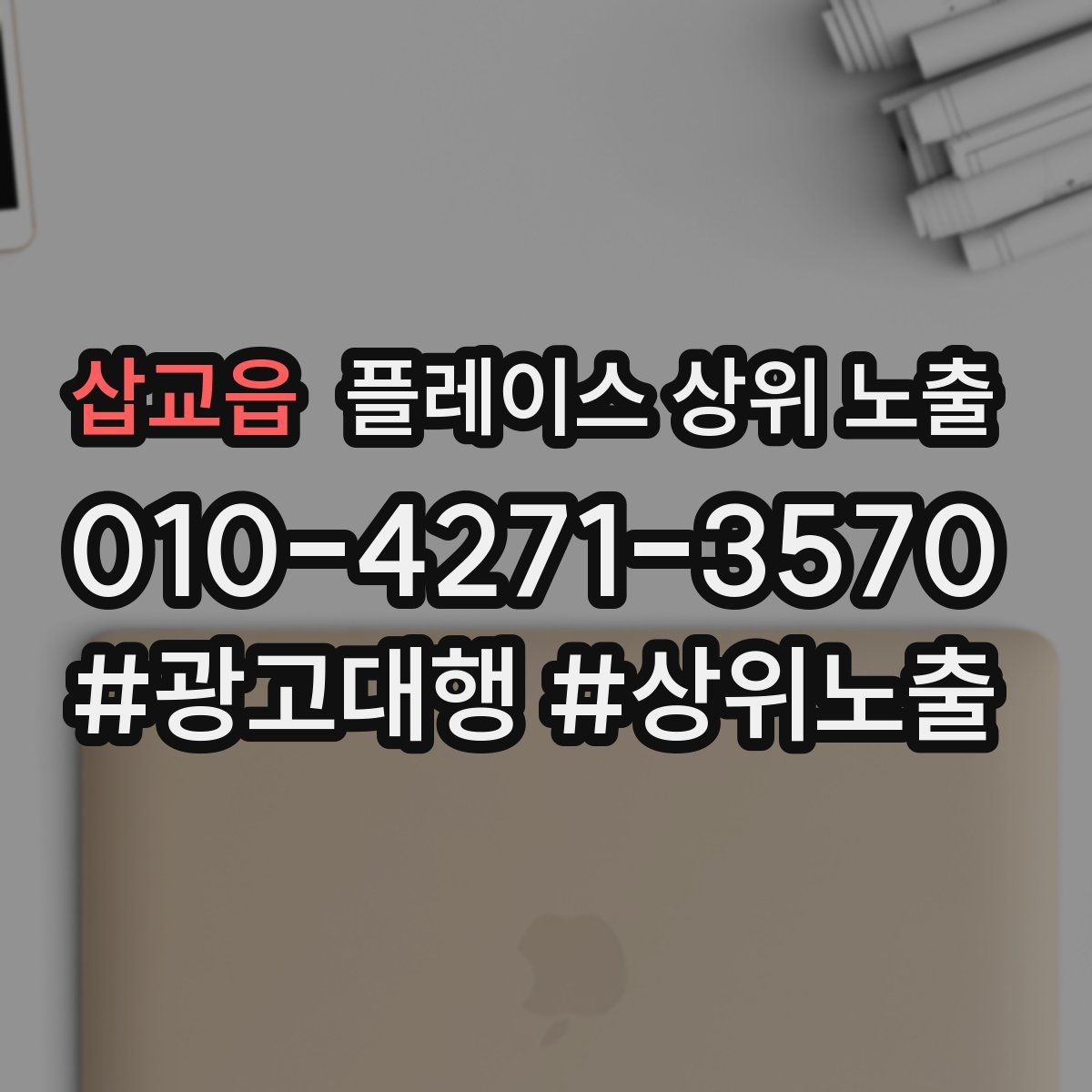 삽교읍 플레이스 상위 노출