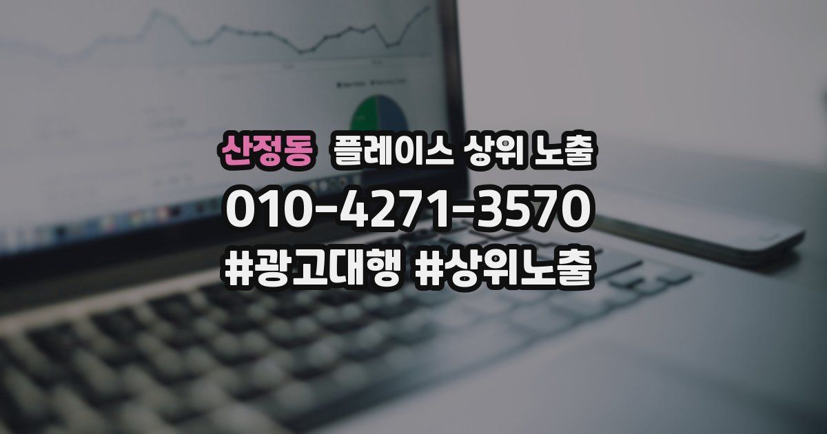 산정동 플레이스 상위 노출