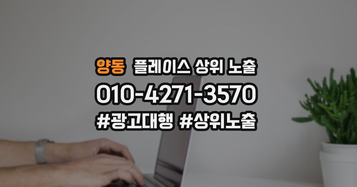 양동 플레이스 상위 노출