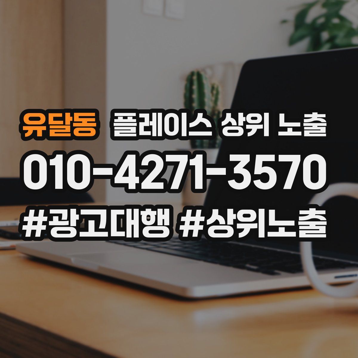 유달동 플레이스 상위 노출