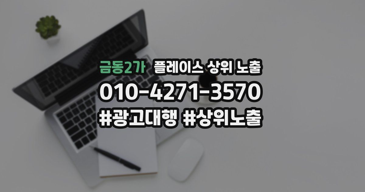 금동2가 플레이스 상위 노출
