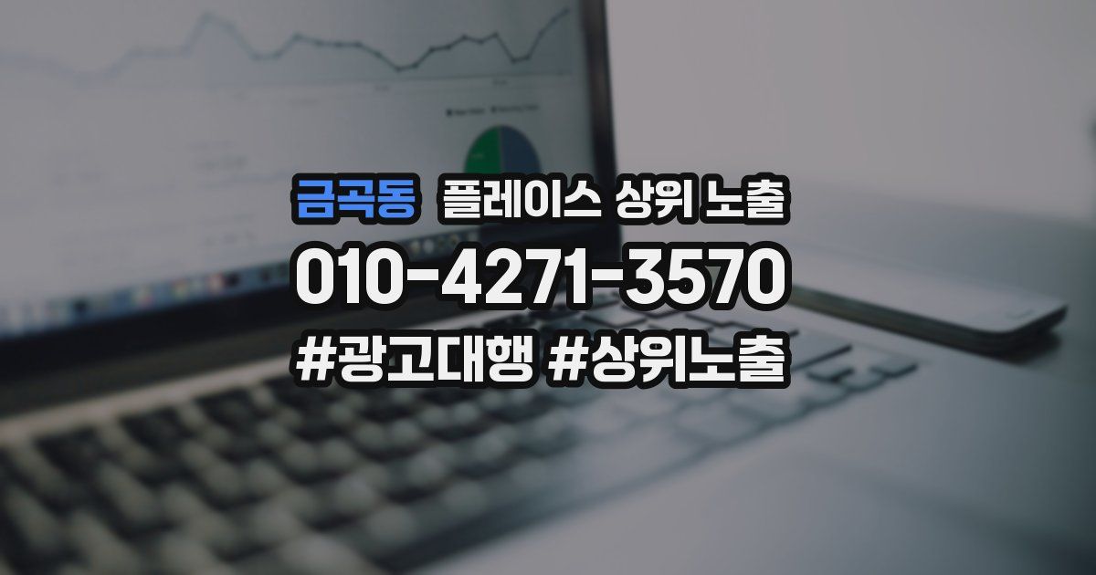 금곡동 플레이스 상위 노출