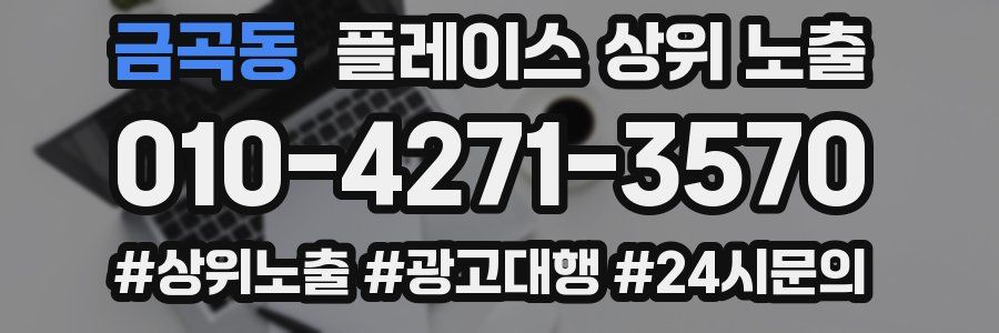 금곡동 플레이스 상위 노출