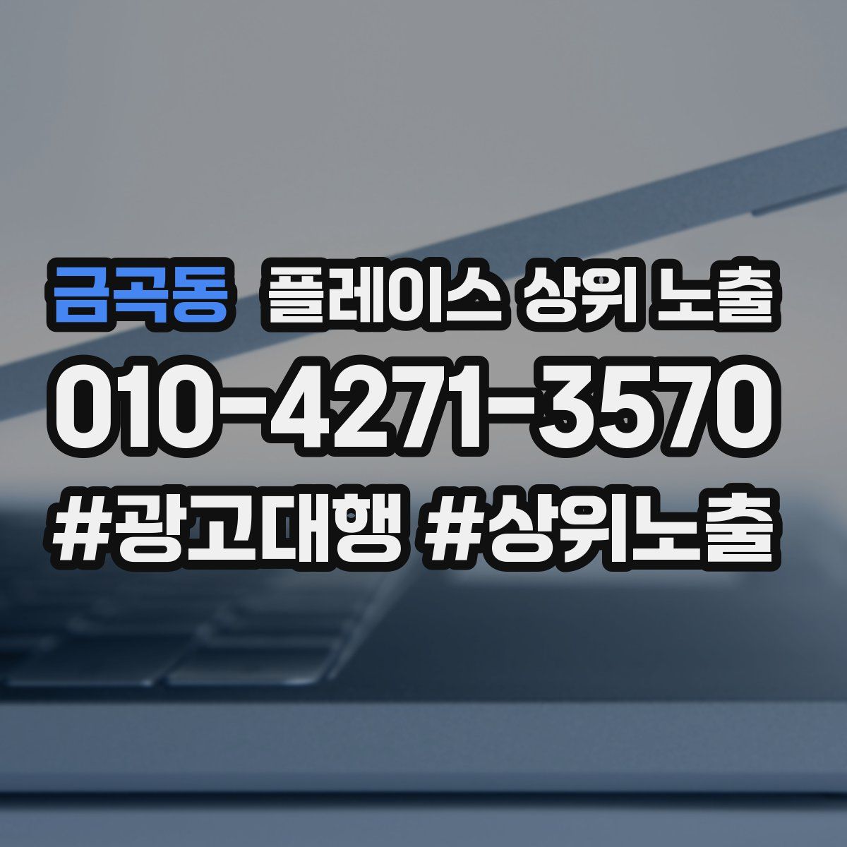 금곡동 플레이스 상위 노출