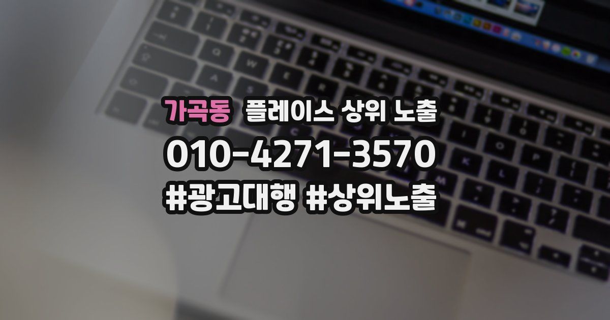 가곡동 플레이스 상위 노출
