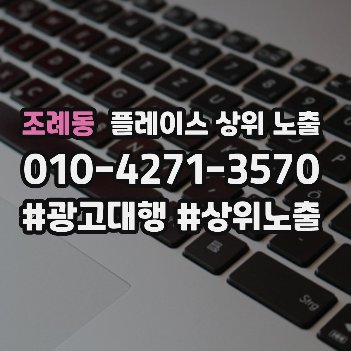 조례동 플레이스 상위 노출
