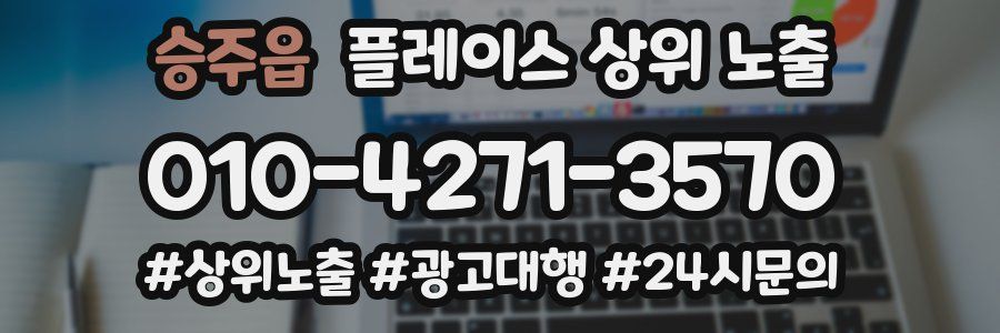 승주읍 플레이스 상위 노출