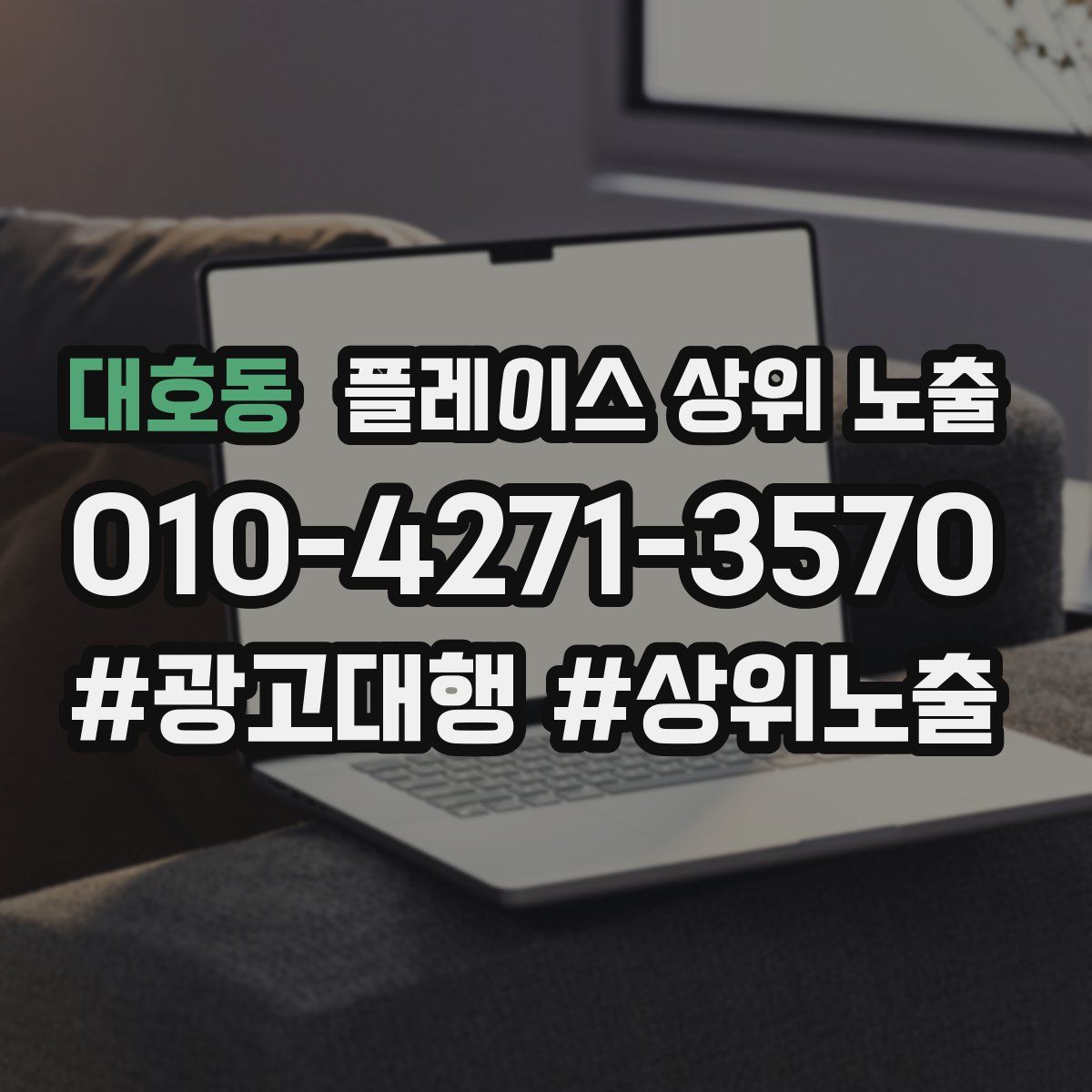 대호동 플레이스 상위 노출