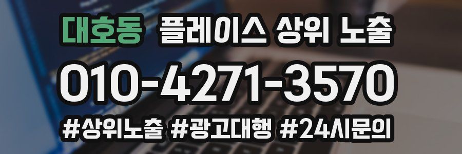 대호동 플레이스 상위 노출