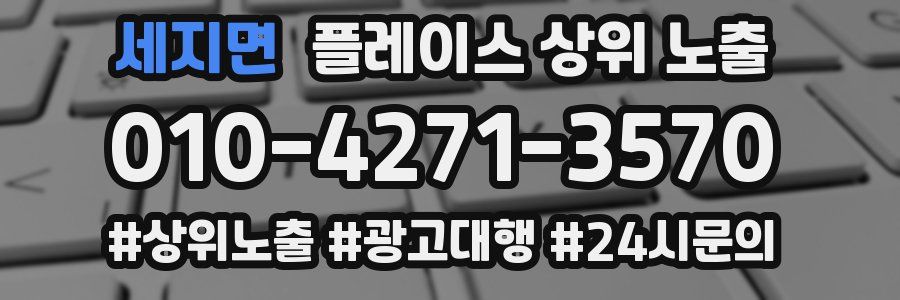 세지면 플레이스 상위 노출